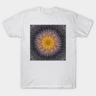 The Lights Of Spiral Serenity T-Shirt